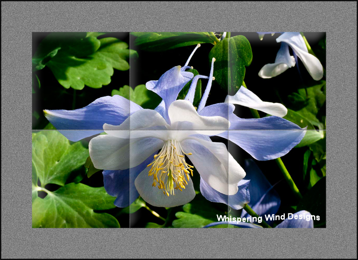 Tile-Murals-Backsplash_Flowers-Columbines-Blue-01