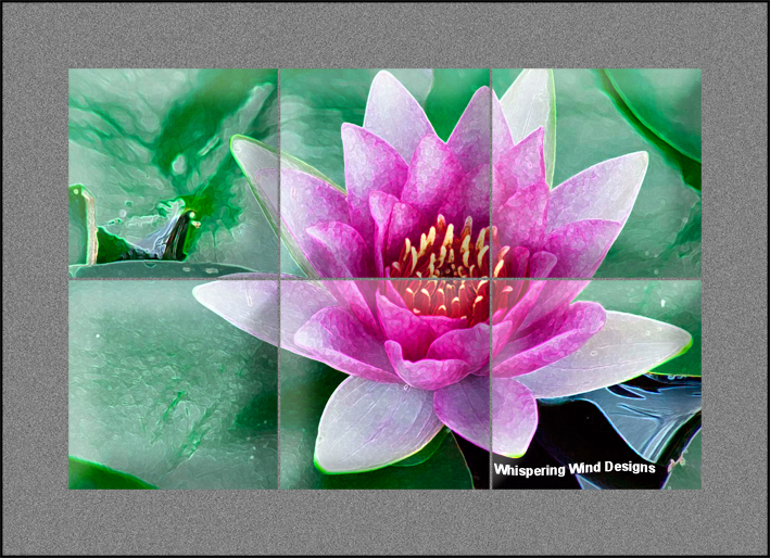 Tile-Murals-Backsplash_Flowers-Lily-Pink-01