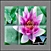 Tile-Murals-Backsplash_Flowers-Lily-Pink-01thumbnail.jpg