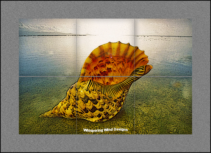 Tile-Murals-Backsplash_Ocean-Seashell-01