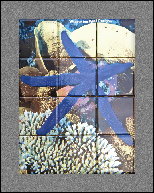 Tile-Murals-Backsplash_Ocean-Starfish-01